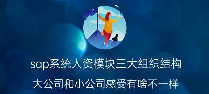 sap系统人资模块三大组织结构 大公司和小公司感受有啥不一样？